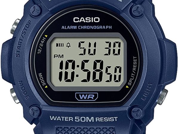 CASIO W-219H-2AVDF