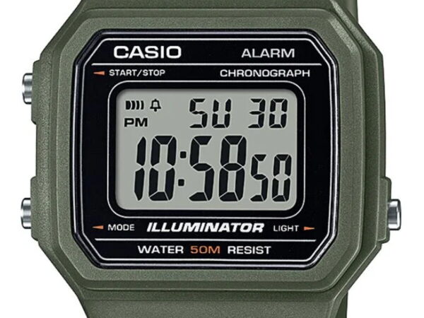 CASIO W-217H-3AVDF