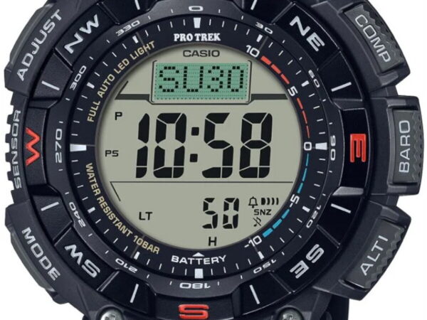 CASIO PRG-340-1DR
