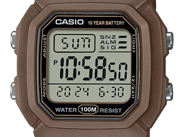 CASIO W-800H-5AVDF